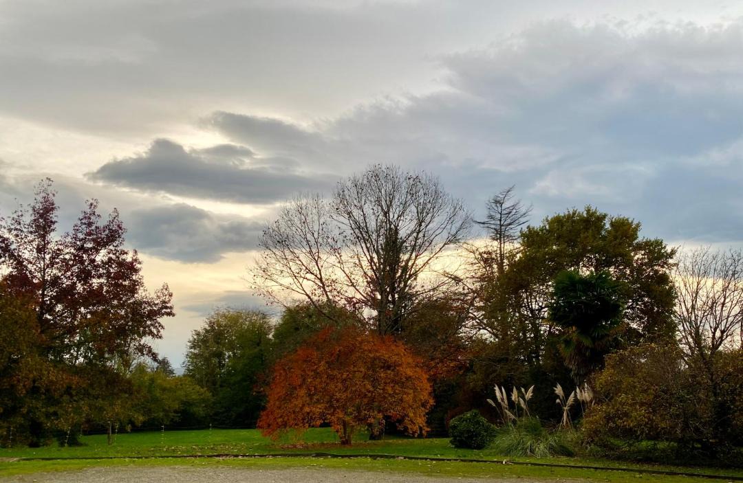 Photo of Others in Navarrenx