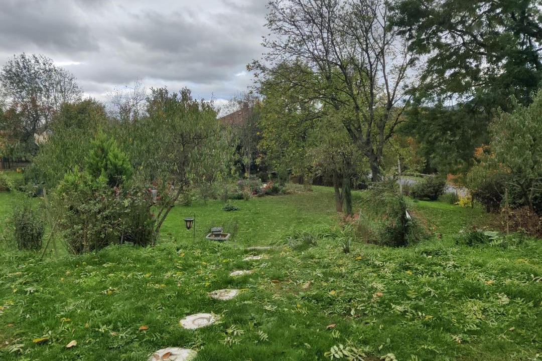 Photo of Others in Chassagnes