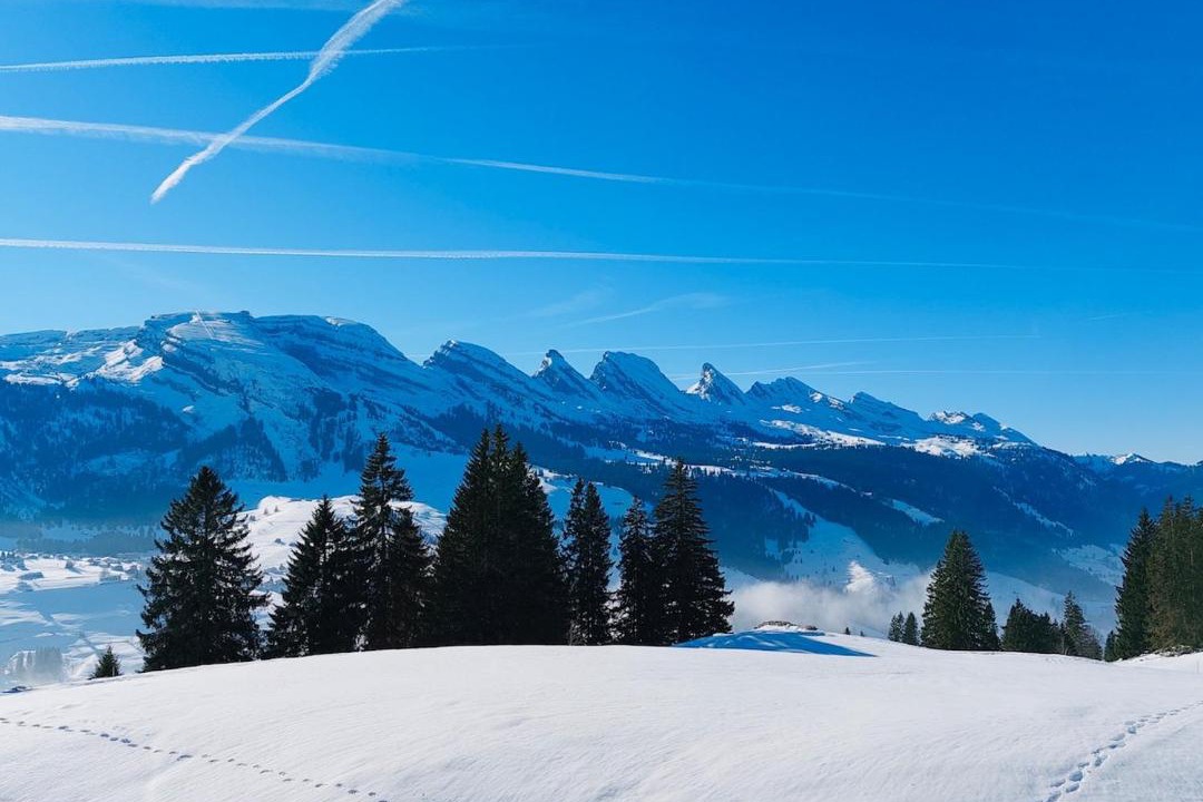 Photo of Others in Wildhaus