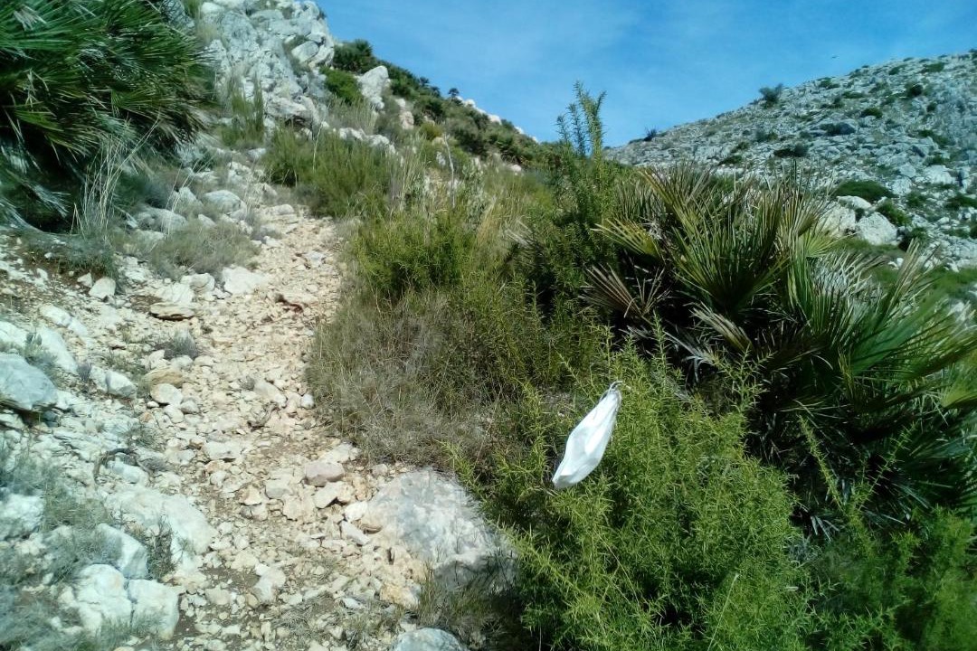 Photo of Others in Pego