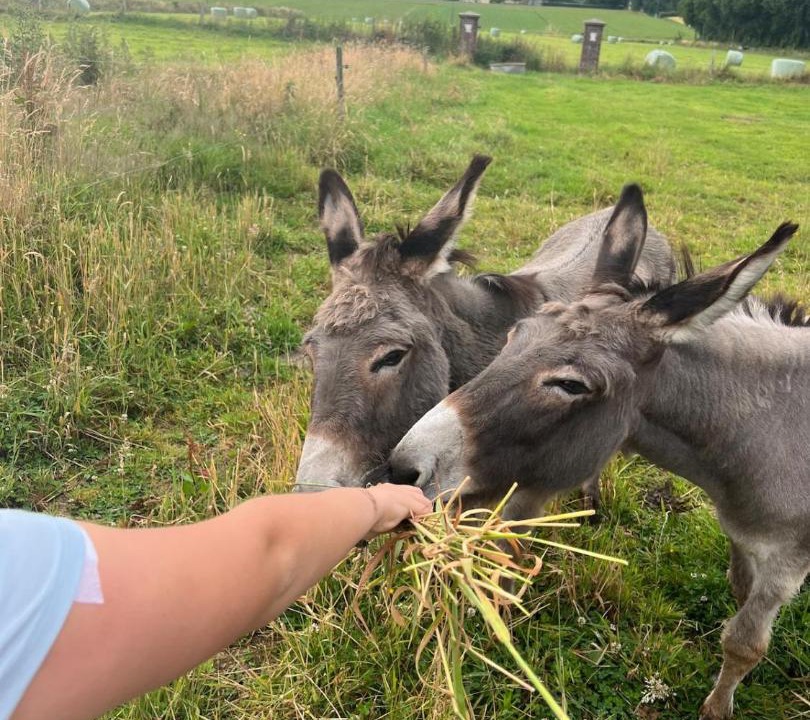 Photo of Others in Butot