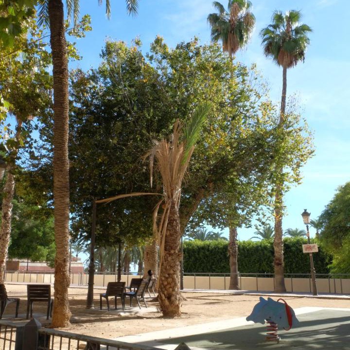 Photo of Others in Barri Vell - Santa Creu