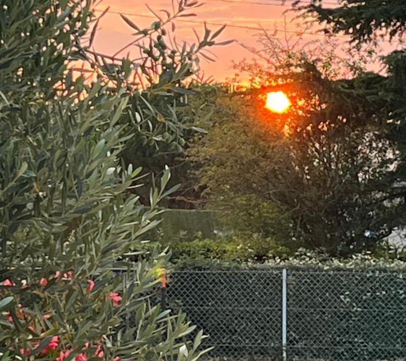 Photo of Others in Marillac-le-Franc