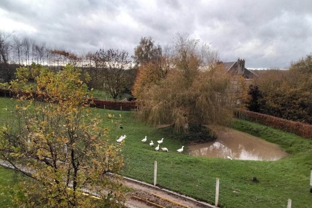 Photo of Others in Saint-Eustache-la-Foret