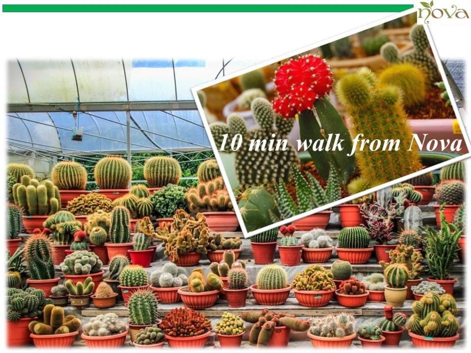 Photo of Others in Brinchang