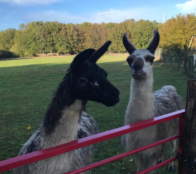 Photo of Others in Savigny-Levescault