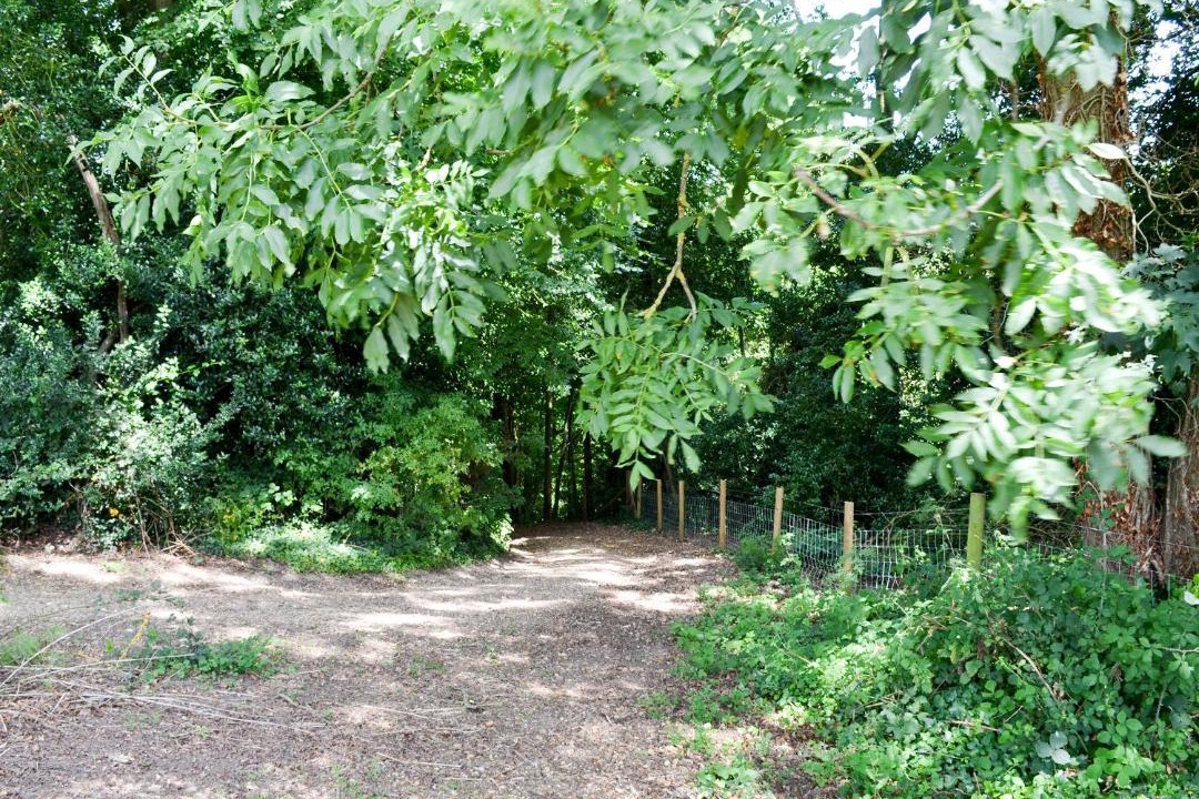 Photo of Others in Martin