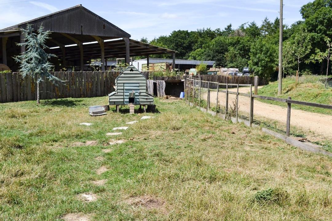 Photo of Others in Martin