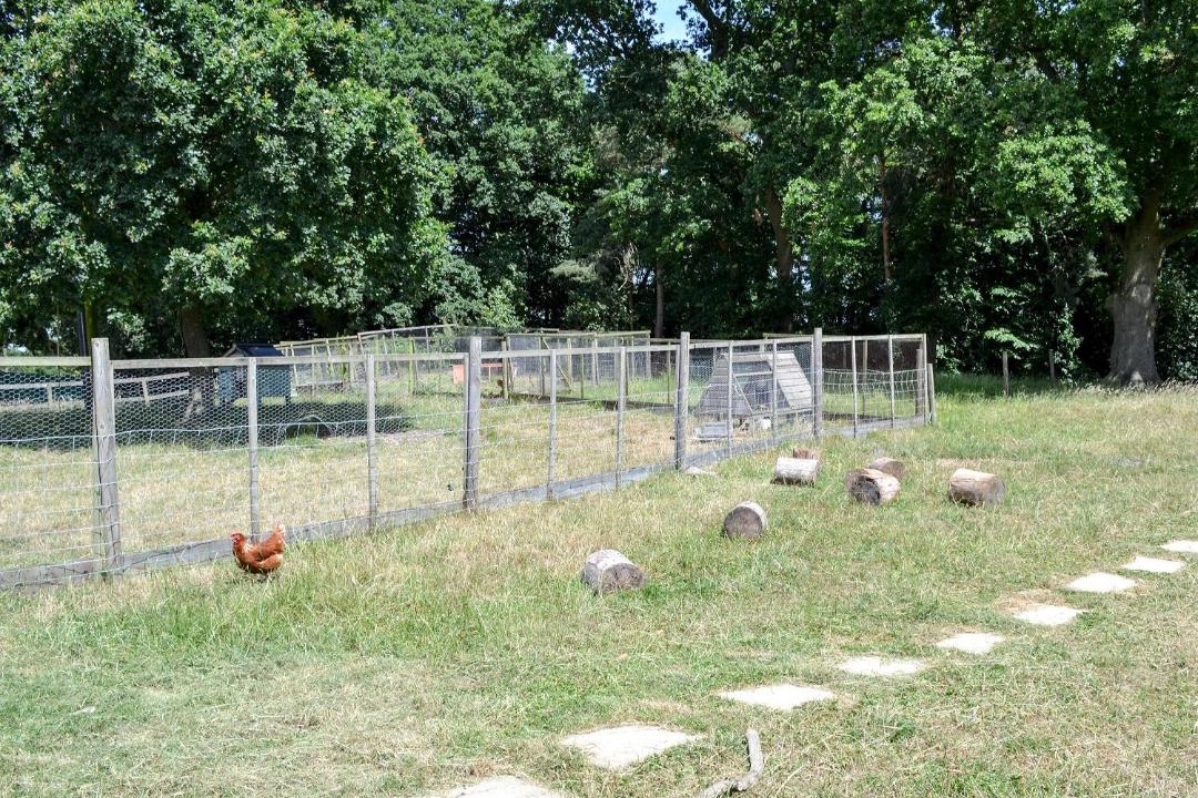 Photo of Others in Martin