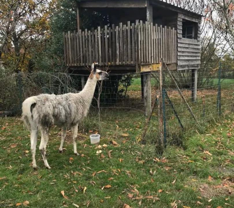 Photo of Others in Savigny-Levescault