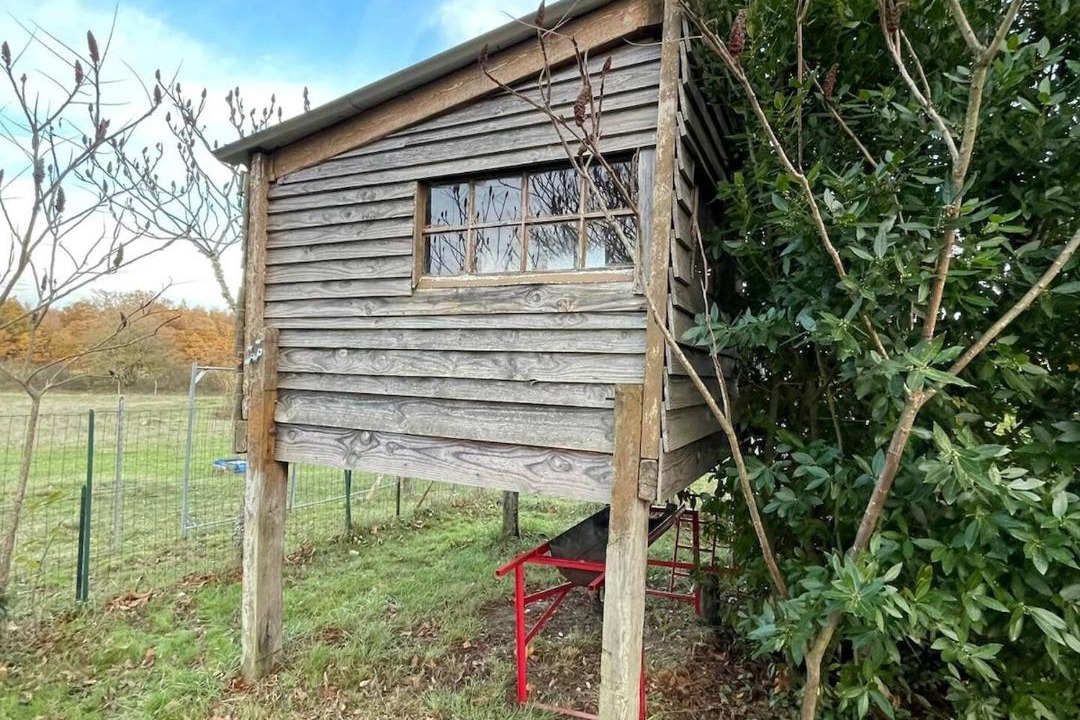 Photo of Others in Savigny-Levescault