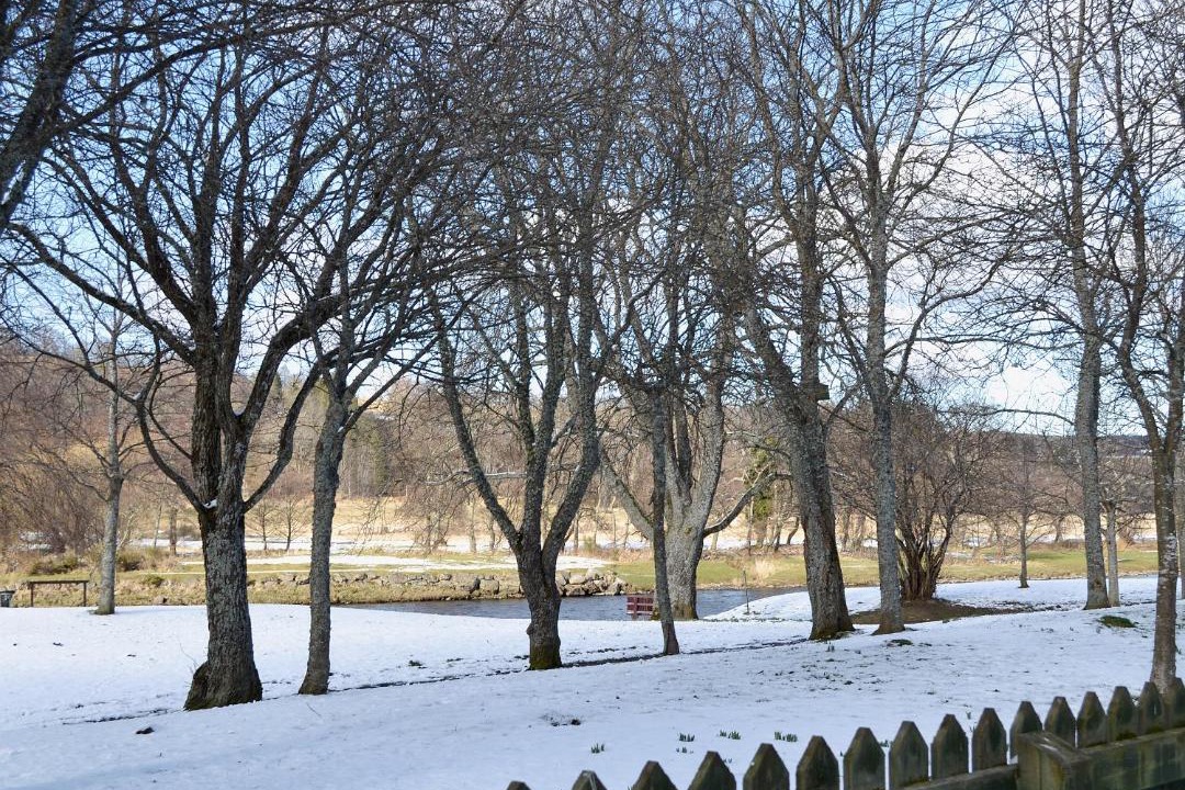 Photo of Others in Aberlour