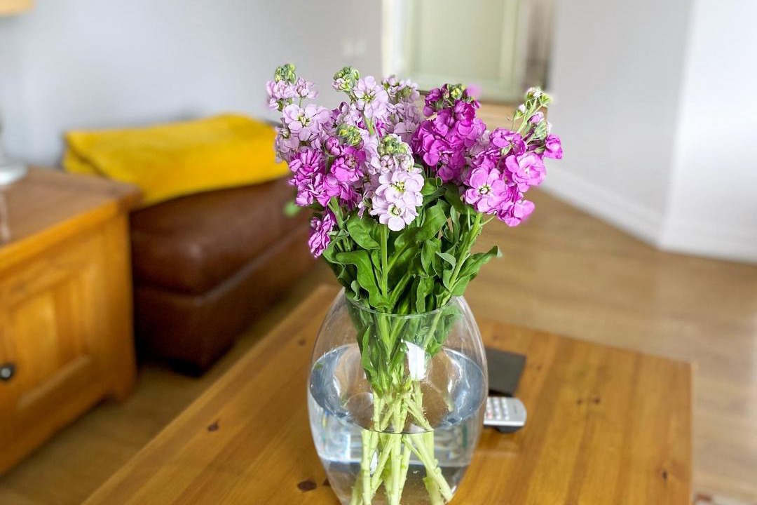 Photo of Others in North Gorley