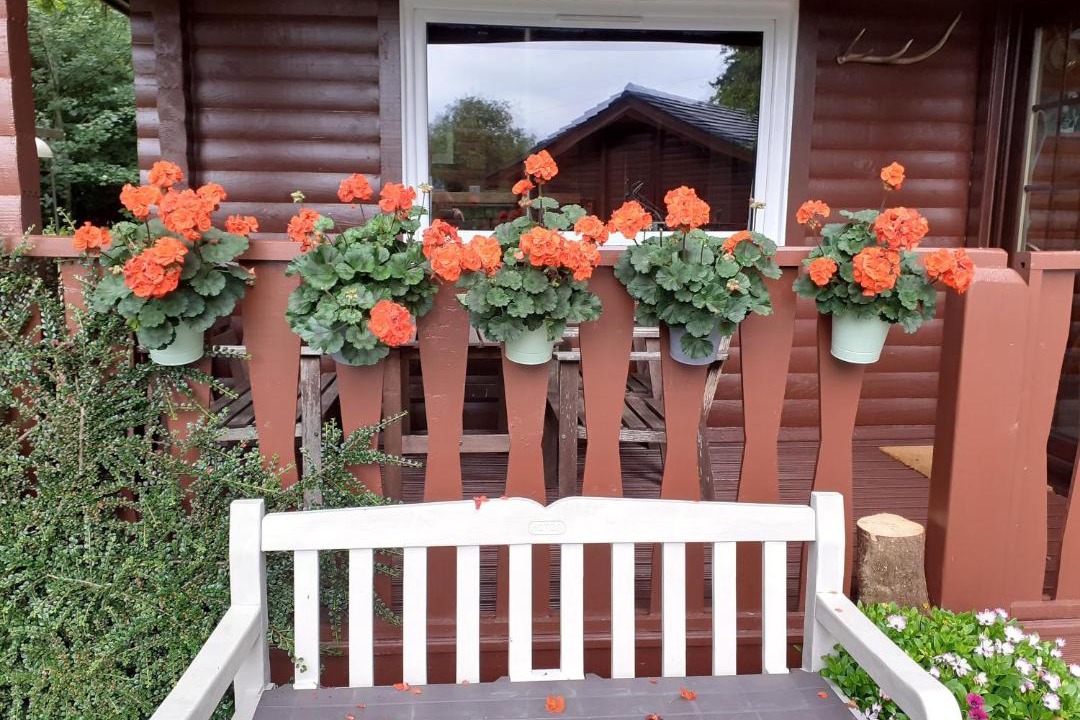 Photo of Others in Benmore