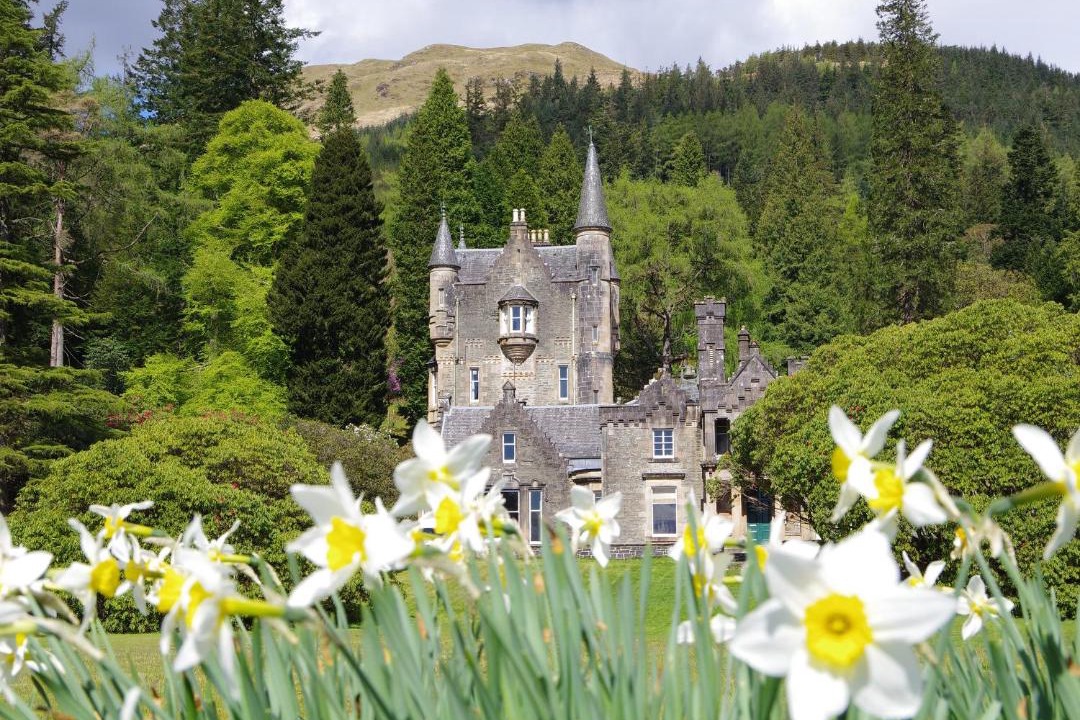 Photo of Others in Benmore