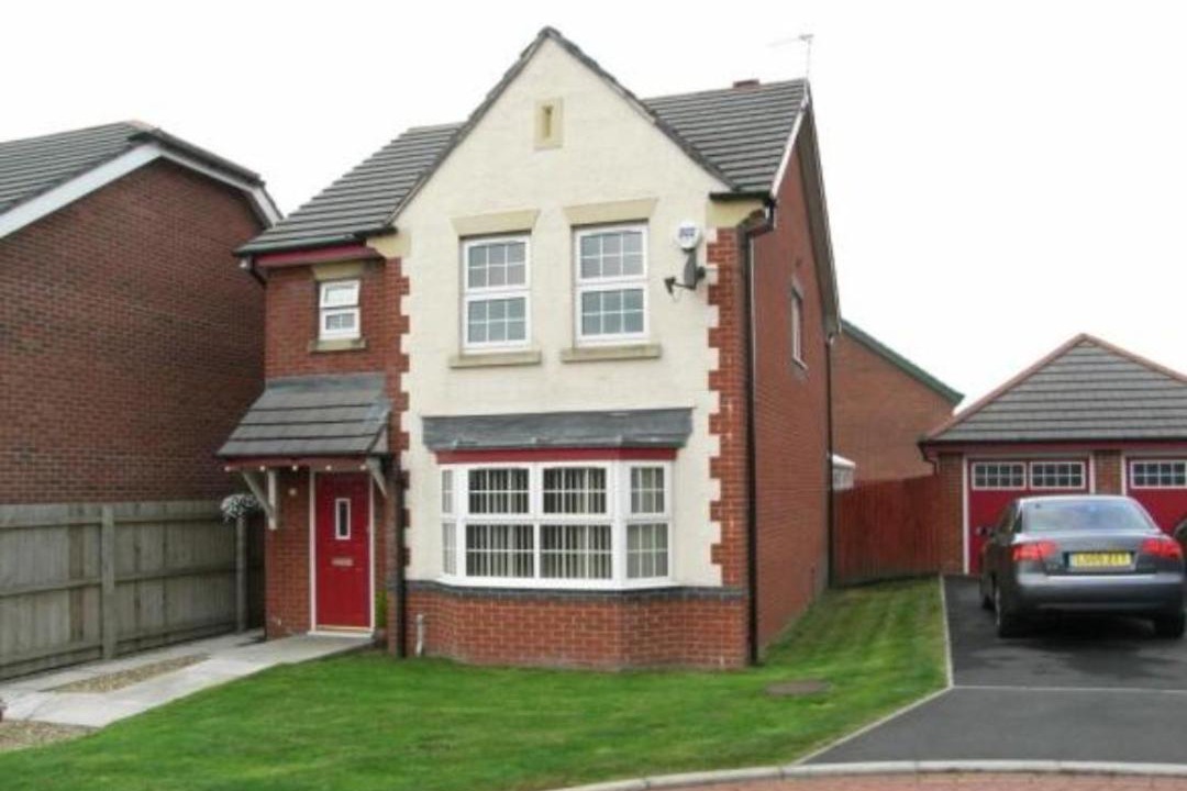 Photo of Others in Guide