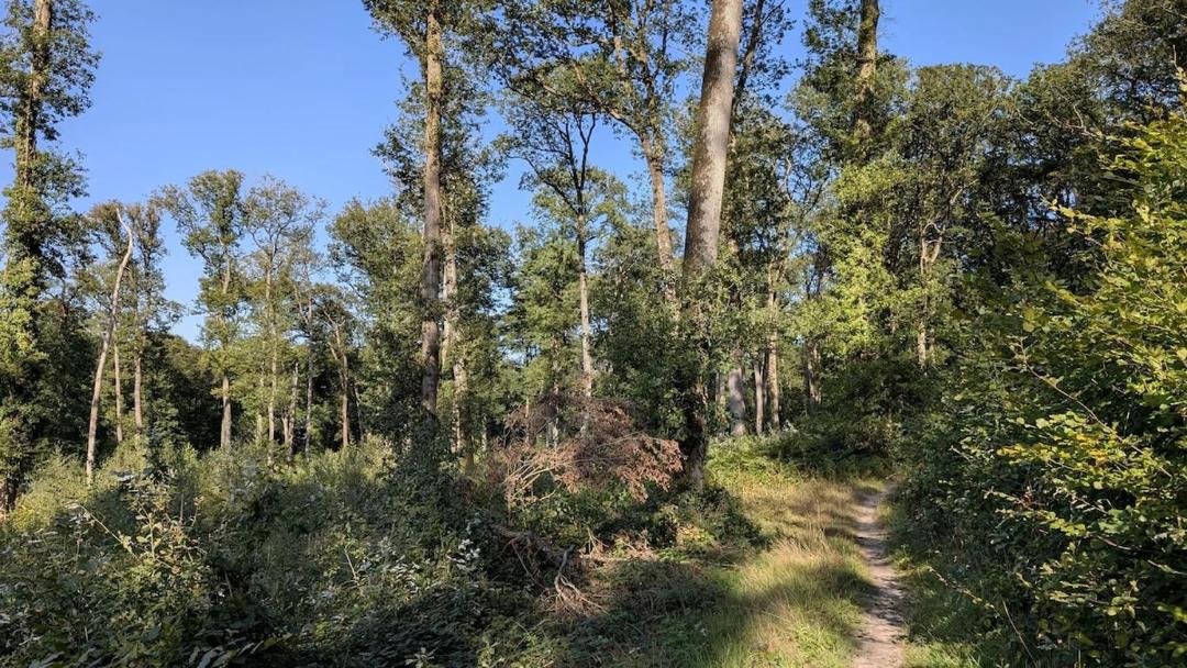 Photo of Others in Saint-Aubin-du-Cormier