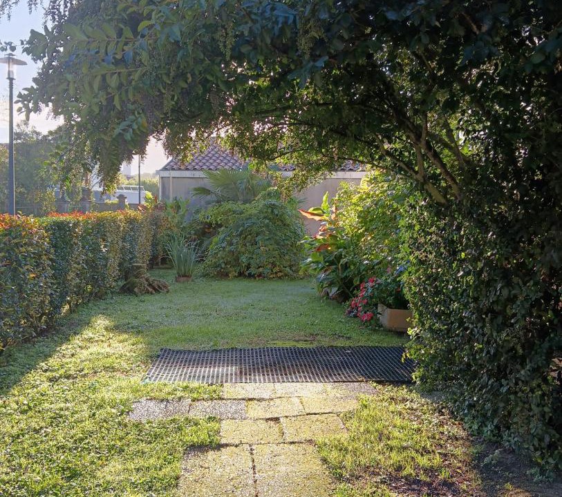 Photo of Others in Tartas