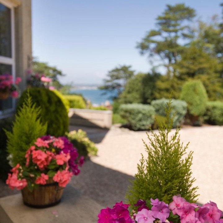 Photo of Others in Shanklin