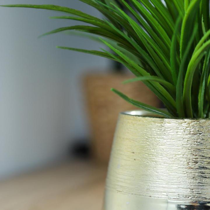 Photo of Others in Vaires-sur-Marne