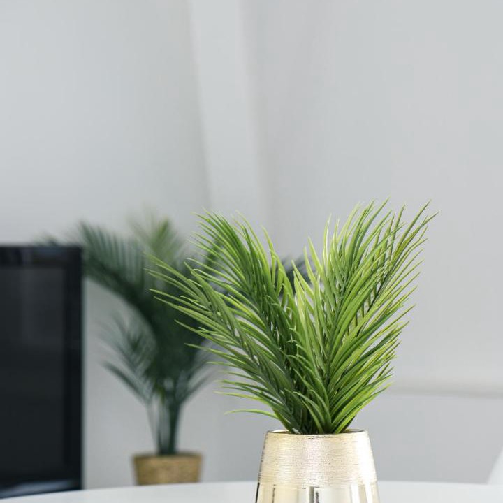 Photo of Others in Vaires-sur-Marne