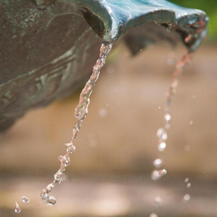 Photo of Others in Shanklin