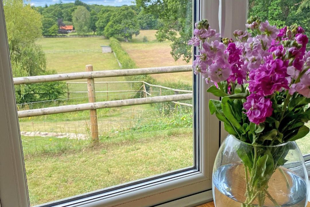 Photo of Others in North Gorley