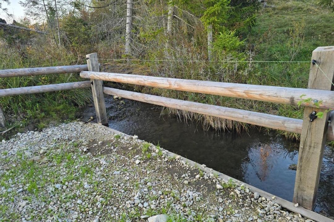 Photo of Others in Lac-des-Rouges-Truites