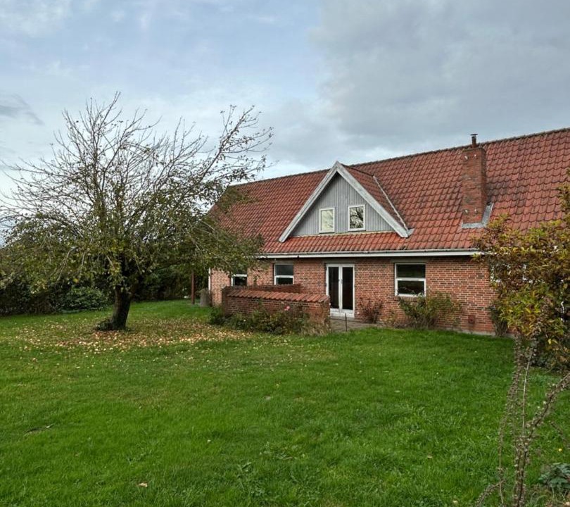 Photo of Others in Horning