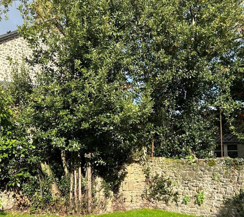 Photo of Others in Jublains