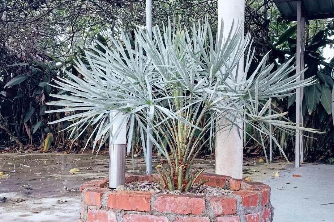 Photo of Others in Dato Abu Bakar Baginda