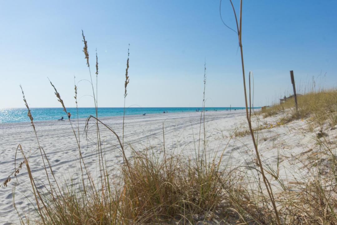 Photo of Others in Miramar Beach