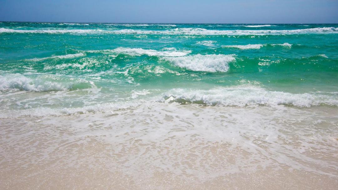 Photo of Others in Miramar Beach