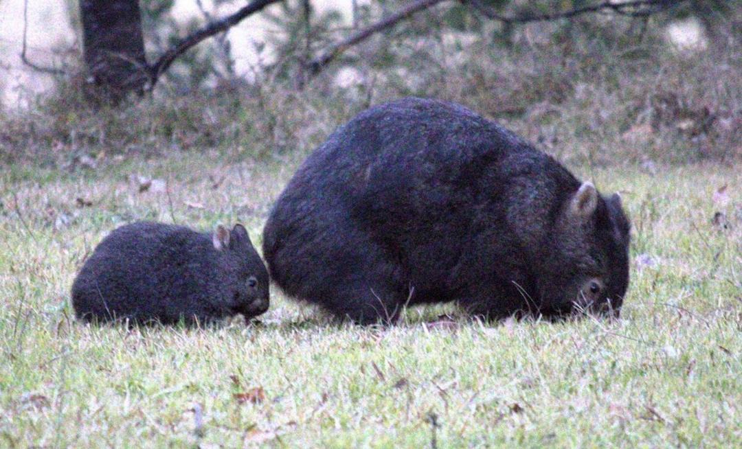 Photo of Others in Paynes Crossing