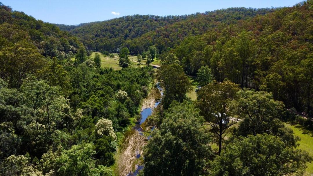 Photo of Others in Paynes Crossing