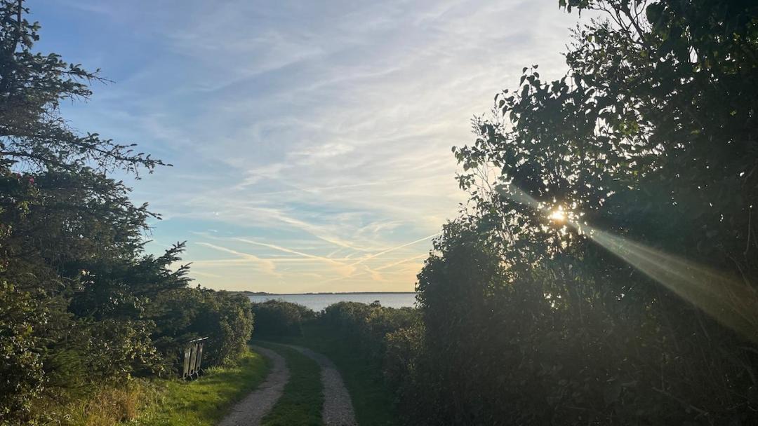 Photo of Others in Martofte