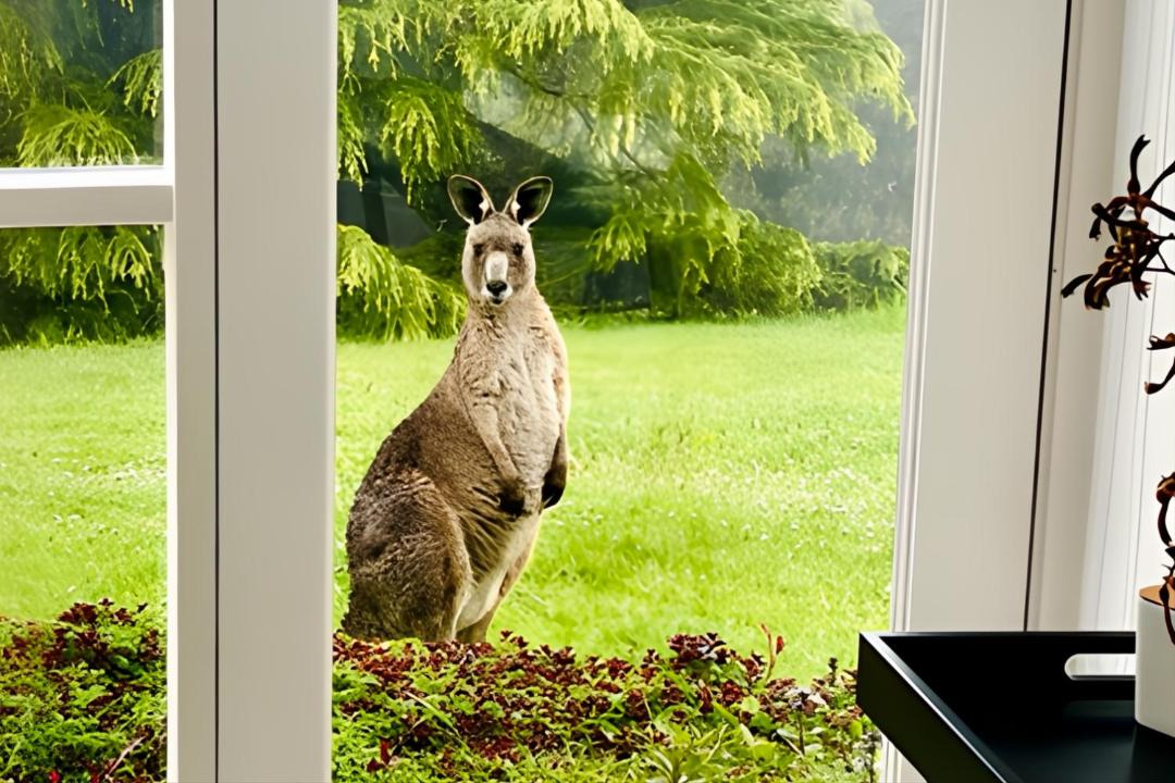 Photo of Others in Lavers Hill