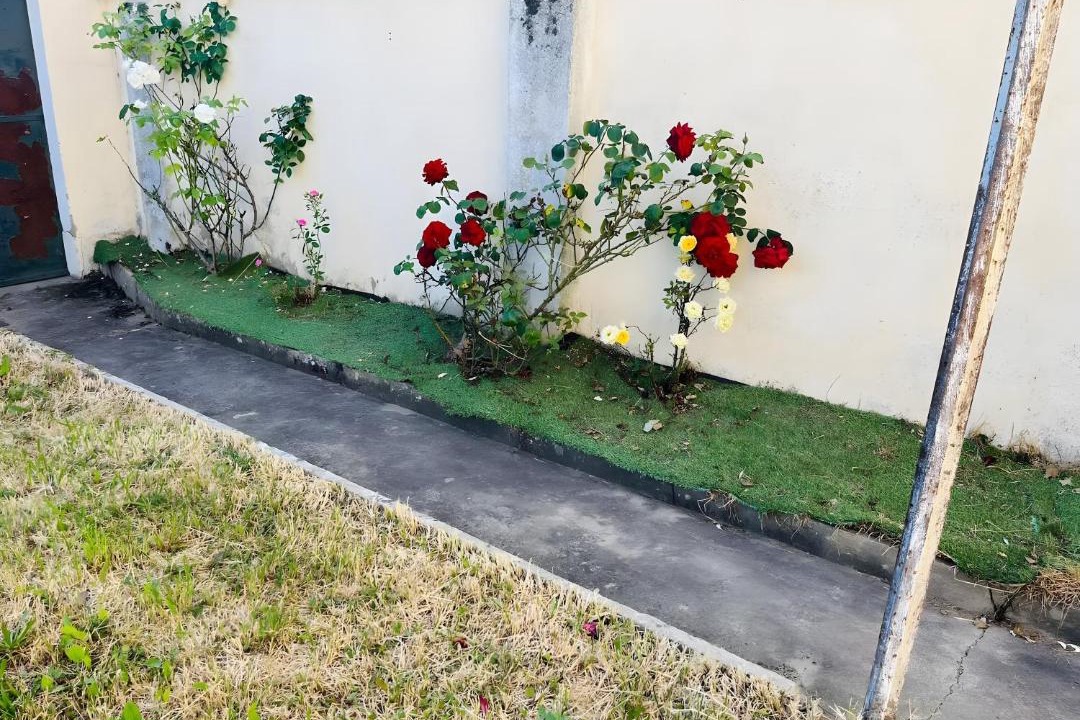 Photo of Others in Saint-Florentin