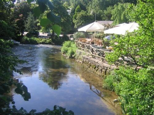 Photo of Others in Tuckenhay