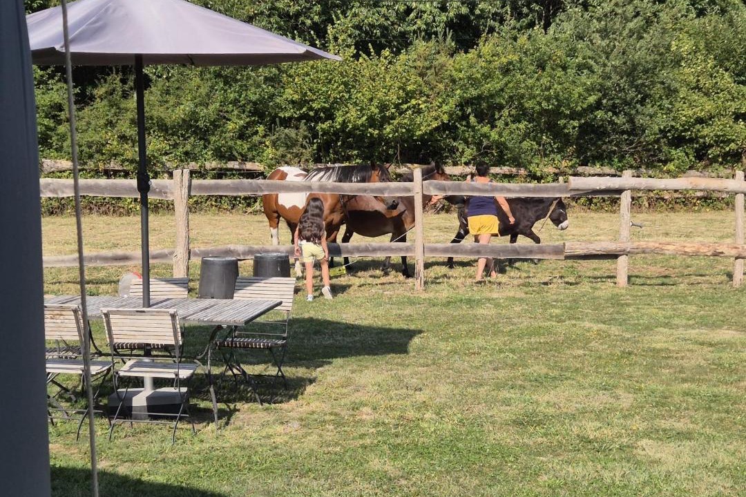Photo of Others in Continvoir