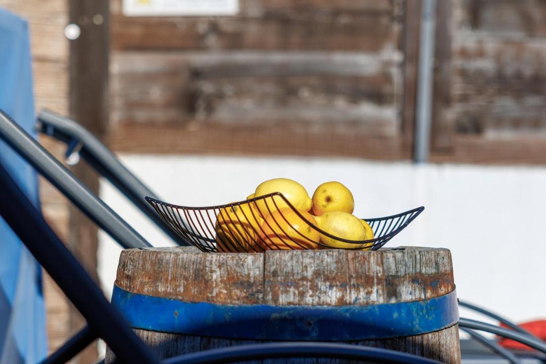 Photo of Others in Ledenice