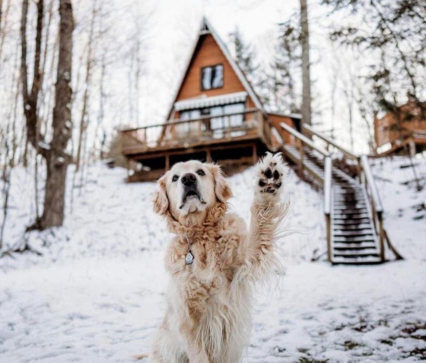 Photo of Others in Luther