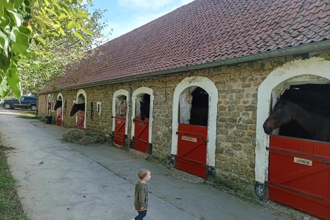 Photo of Others in Bazinghen