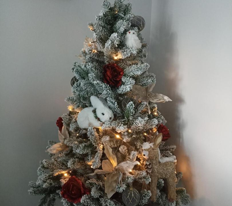 Photo of Others in Onzain