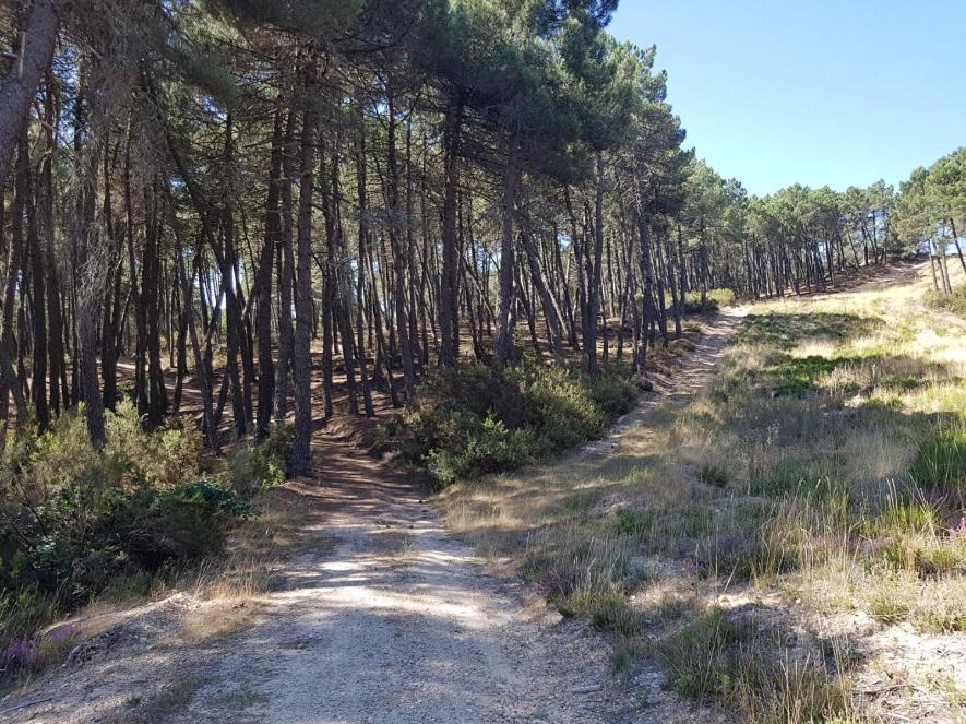 Photo of Others in La Gallega