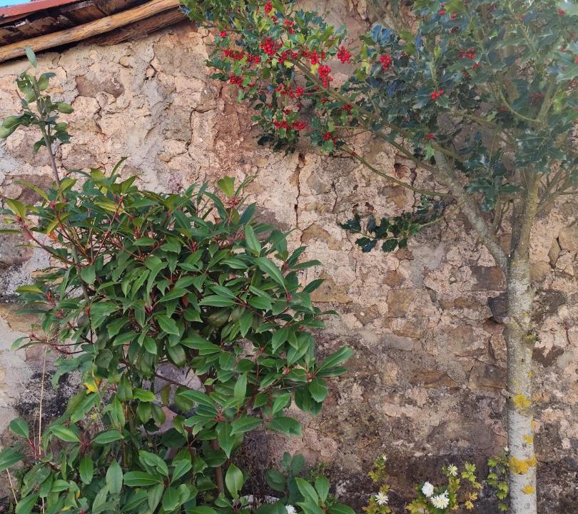 Photo of Others in La Gallega