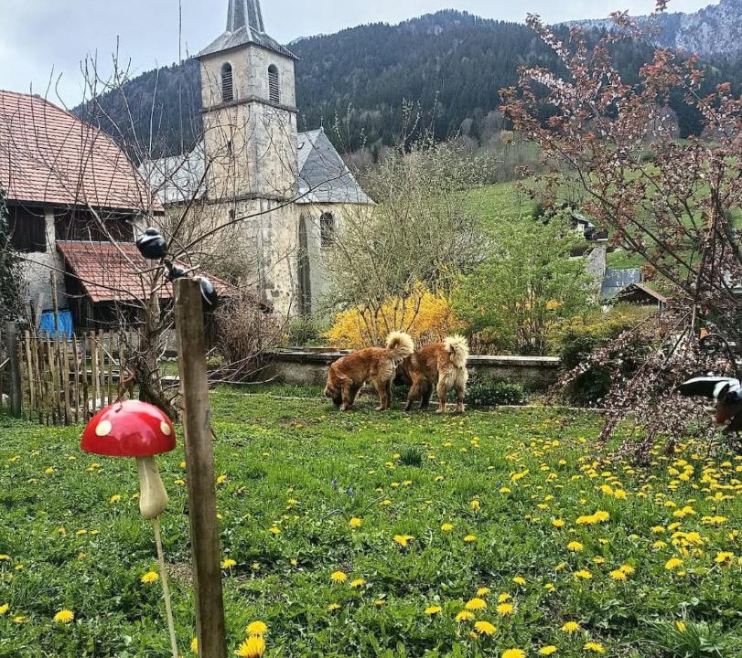 Photo of Others in Saint-Pierre-d'Entremont