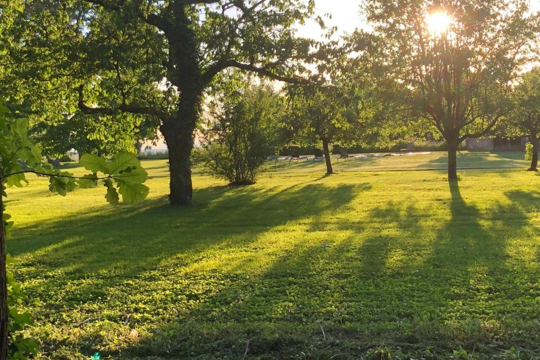 Photo of Others in Bragny-sur-Saone