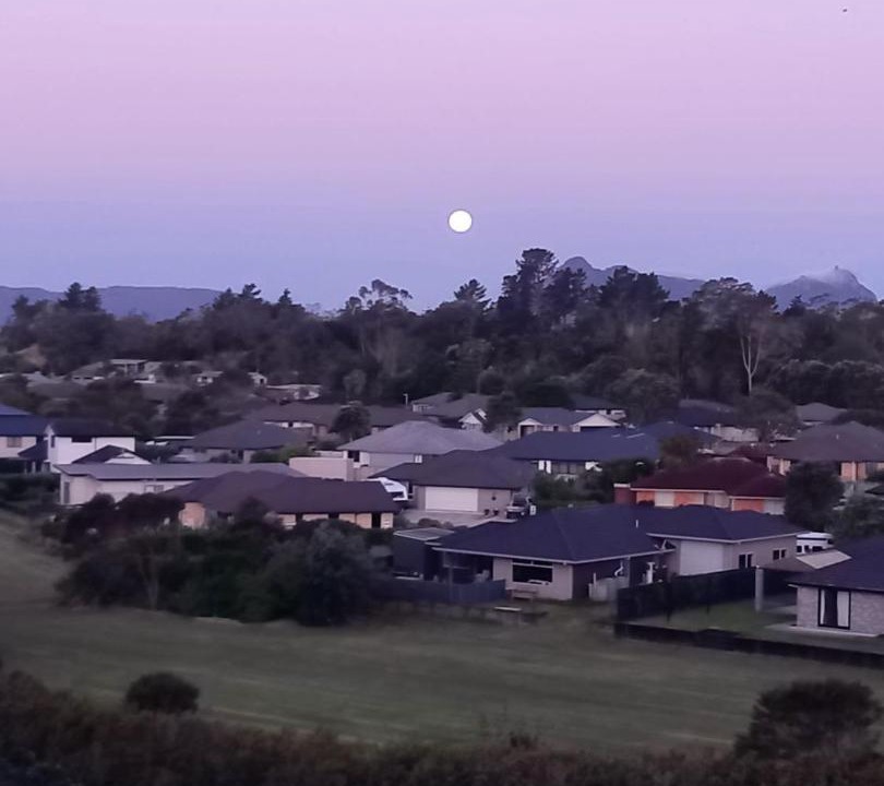 Photo of Others in Ruakaka
