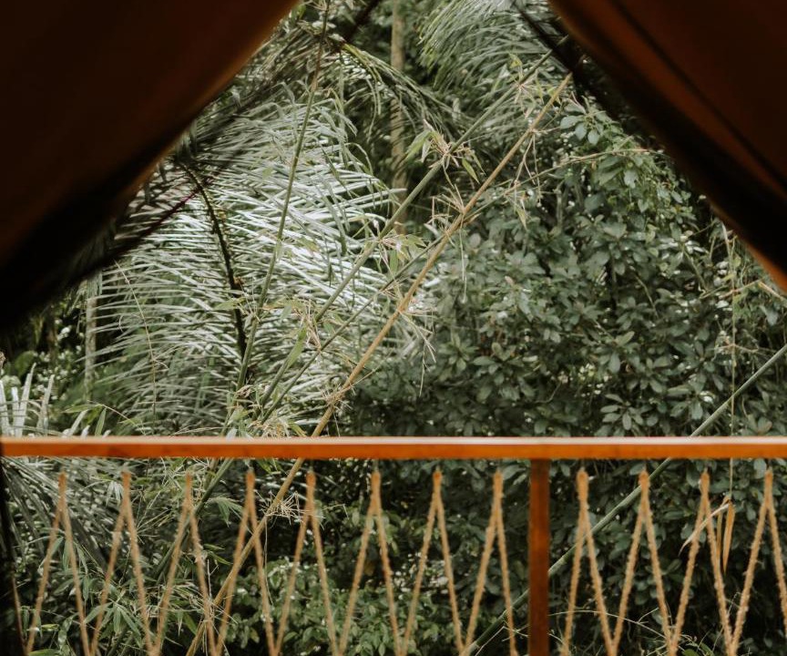 Photo of Others in Nungnung